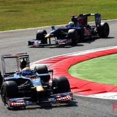 Los dos Toro Rosso