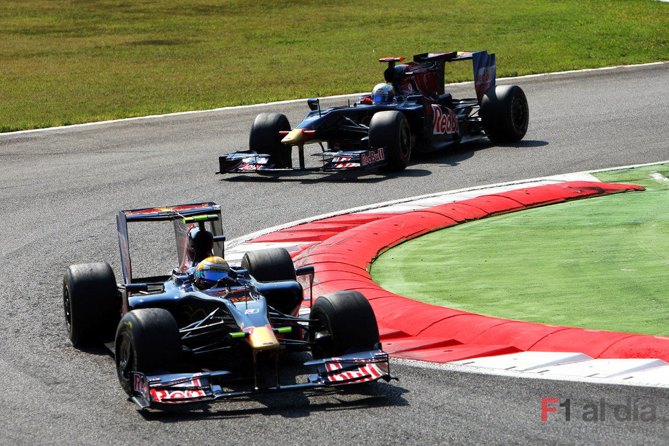 Los dos Toro Rosso