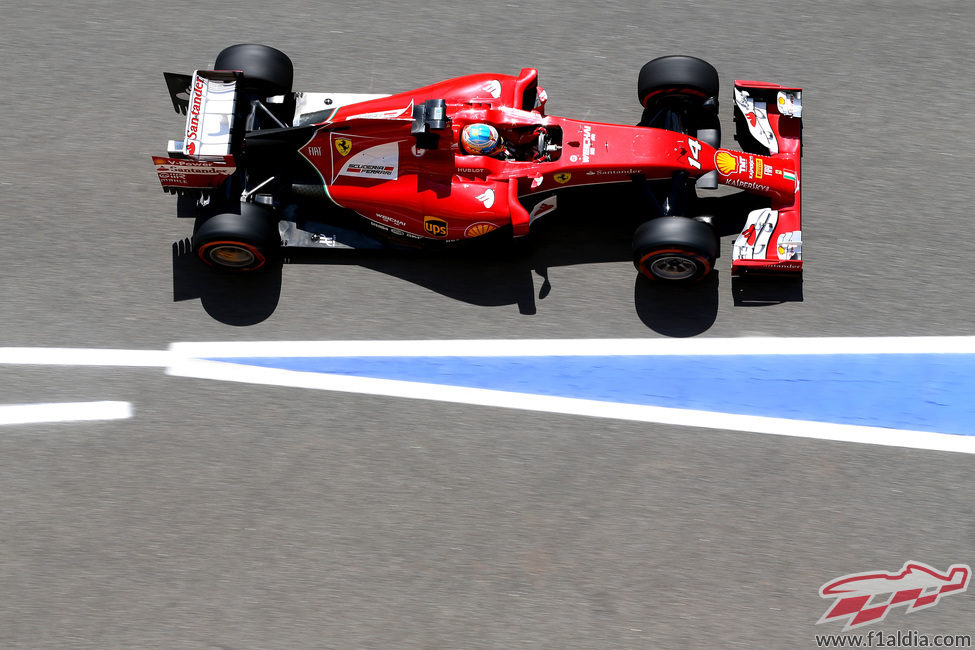 Fernando Alonso entra en boxes