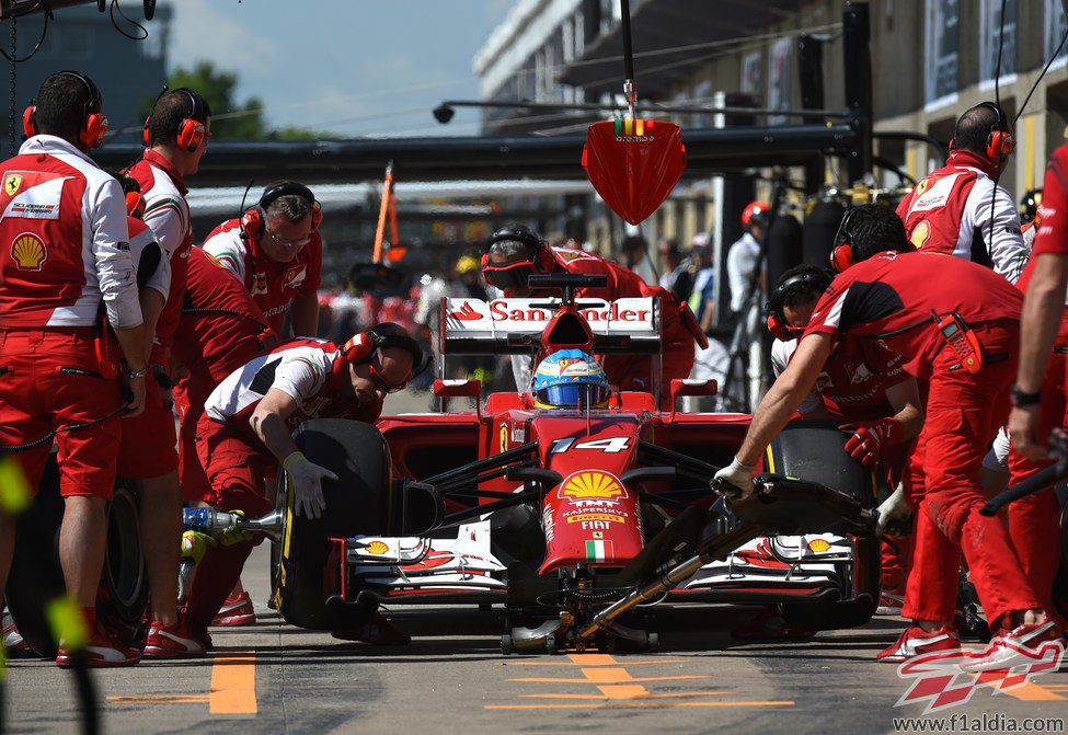 Fernando Alonso cambia neumáticos