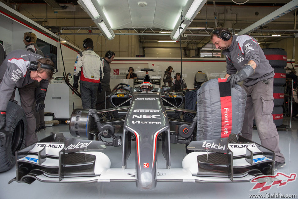 Adrian Sutil a punto de salir a la pista