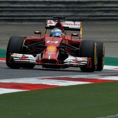 Entrenamientos libres para Fernando Alonso