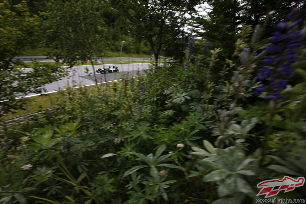 Kamui Kobayashi entre la vegetación de Austria