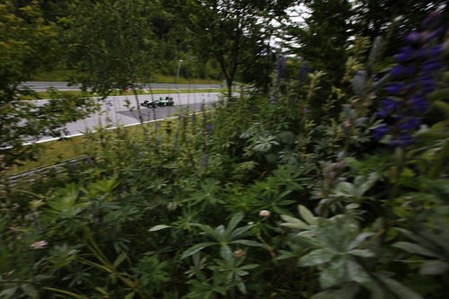 Kamui Kobayashi entre la vegetación de Austria