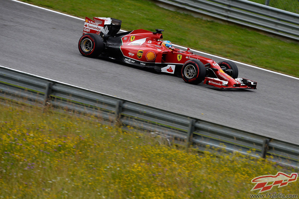 Posible opción de podio para Fernando Alonso