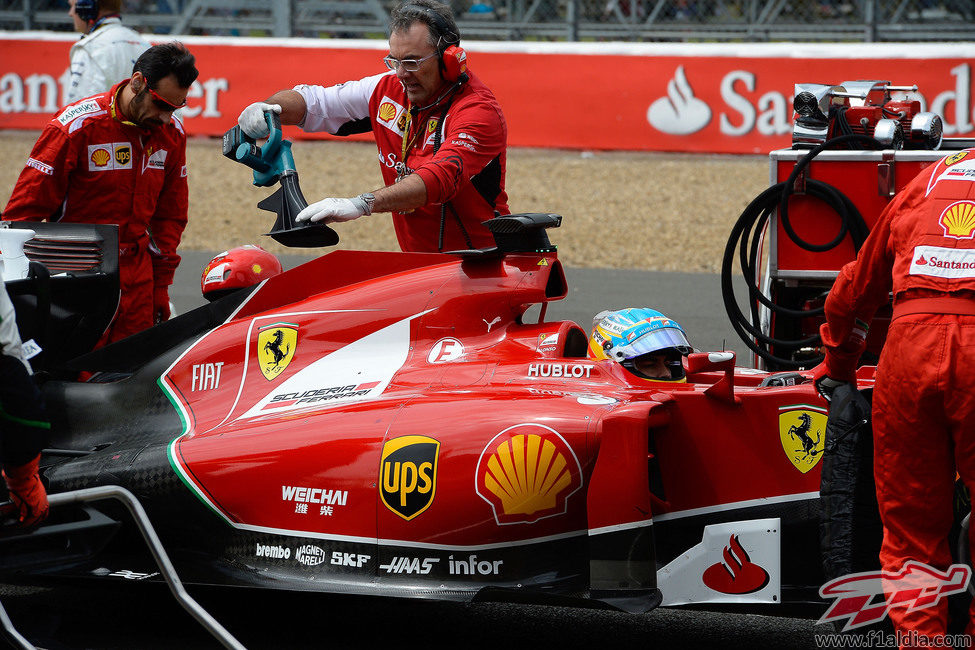 Fernando Alonso se prepara para reemprender el GP