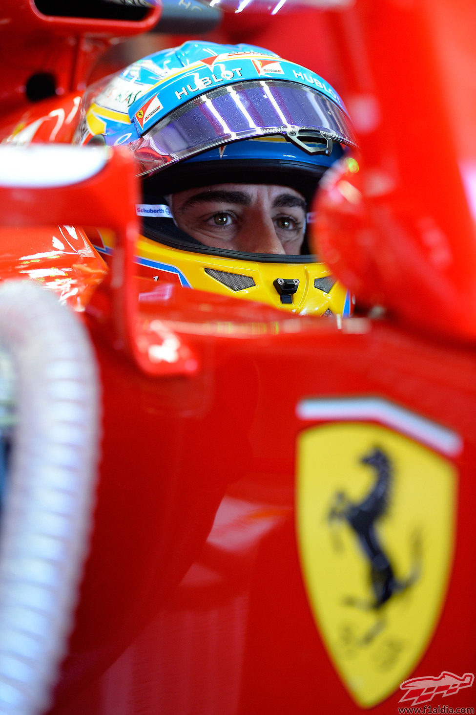 Fernando Alonso se prepara para salir de boxes
