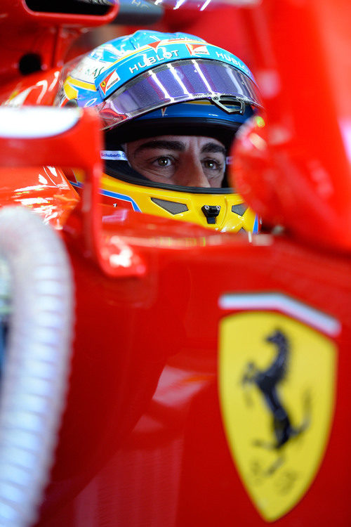 Fernando Alonso se prepara para salir de boxes