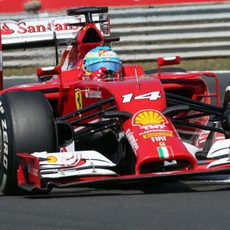 Mucho sobreviraje en el coche de Fernando Alonso