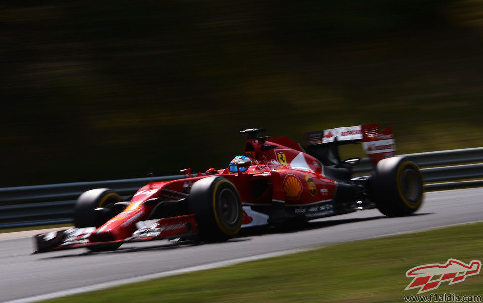 Fernando Alonso registró el quinto mejor tiempo