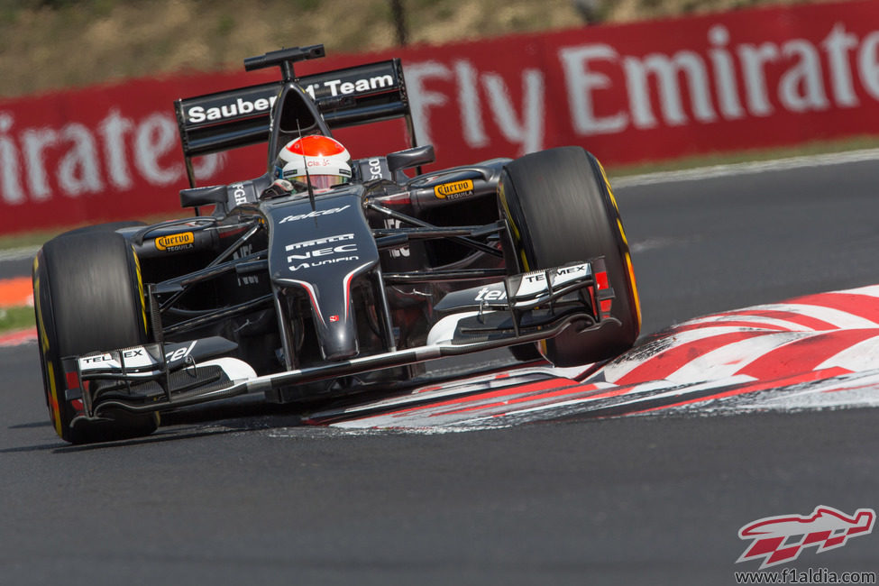 Adrian Sutil ataca con fuerza los pianos de Hungaroring