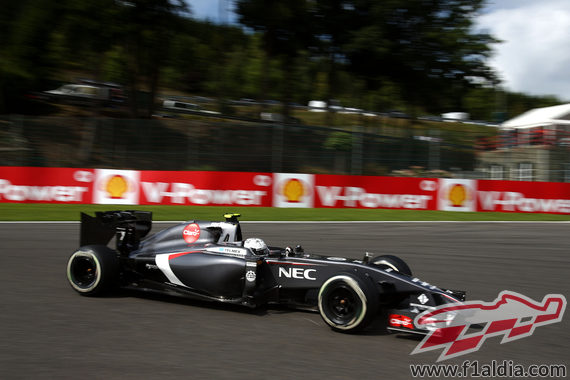 Giedo Van Der Garde cogiendo sensaciones con el coche