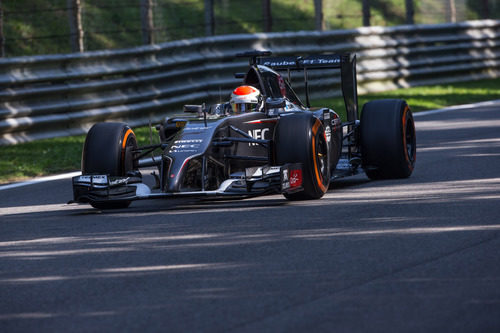 Adrian Sutil no se ha sentido cómodo con el coche