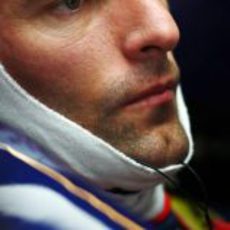 Webber concentrado