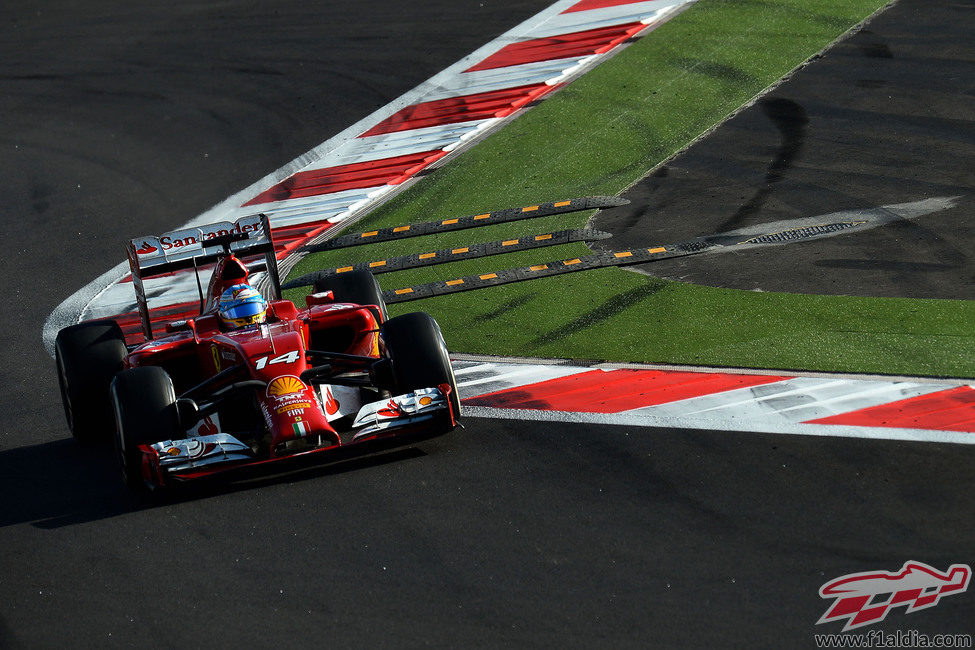 Fernando Alonso durante el GP de Rusia