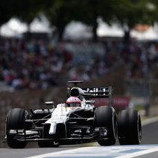 Jenson Button pilotando ante los aficionados brasileños