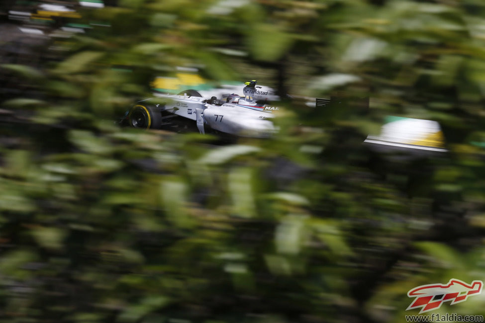 Valtteri Bottas a través de los árboles que rodean al circuito de Interlagos