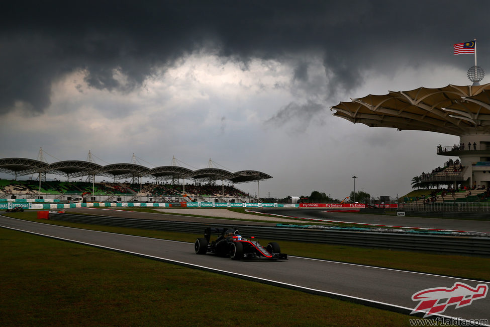 Fernando Alonso entra en el pitlane del circuito de Sepang