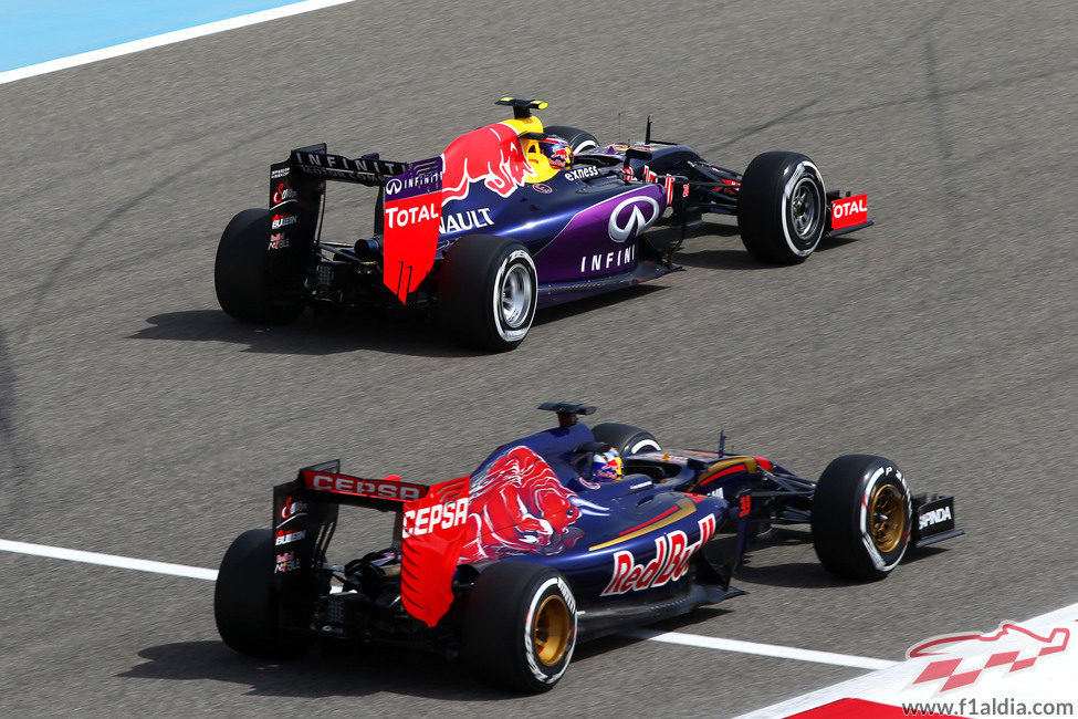 Toro Rosso y Red Bull comparten motorista y problemas de fiabilidad