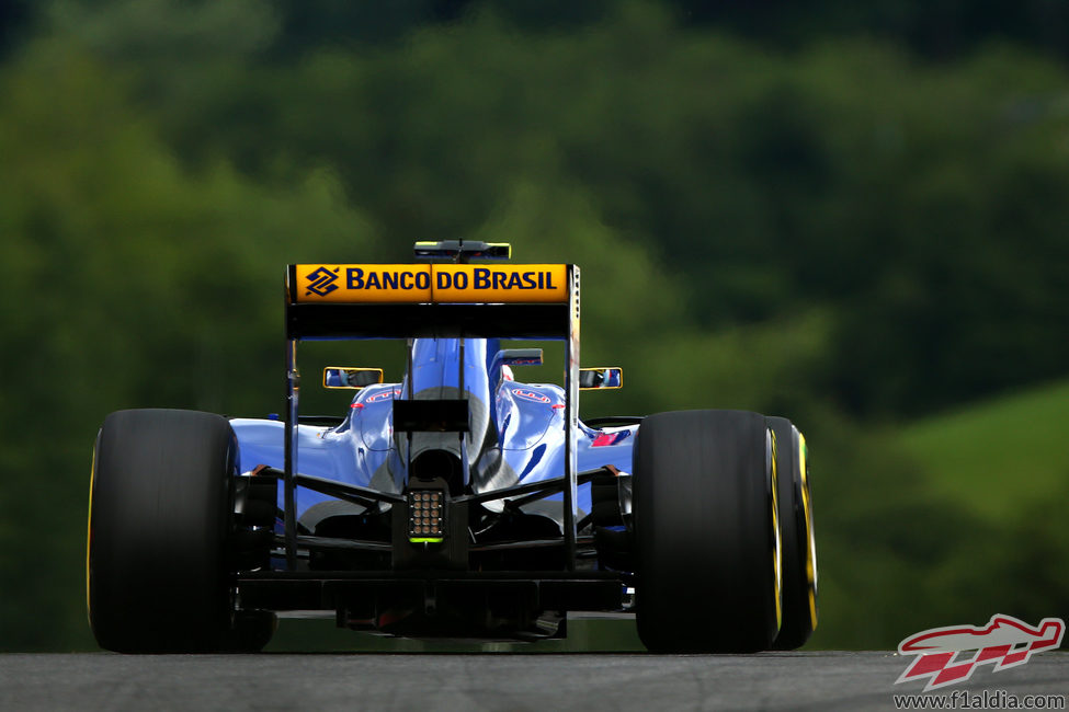 Parte trasera del C34 de Marcus Ericsson