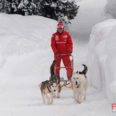 Alonso sobre un trineo tirado por perros