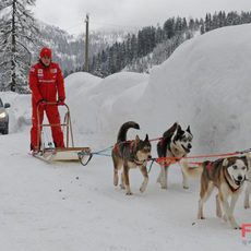 Unos espectaculares perros tiran de Alonso