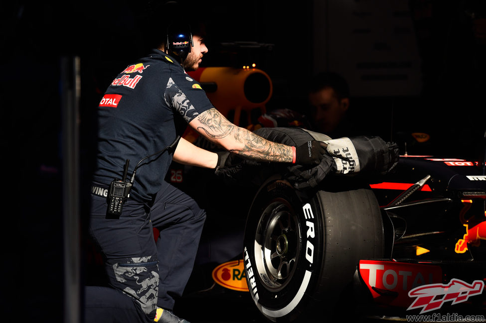 Neumáticos medios para Red Bull