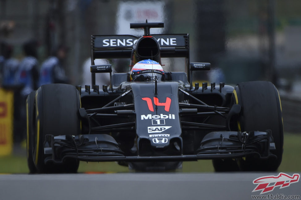 Fernando Alonso regresa al MP4-31