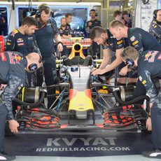 Trabajo del equipo Red Bull en el RB12