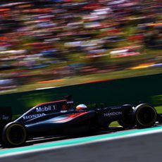 Fernando Alonso exprime su MP4-31