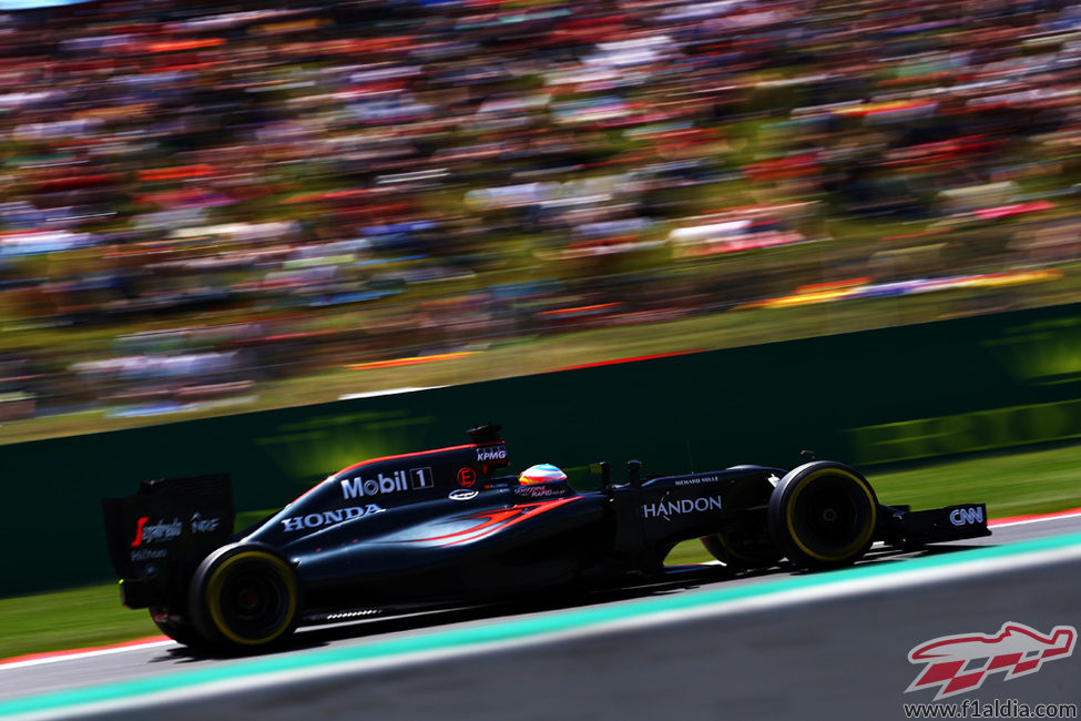 Fernando Alonso exprime su MP4-31