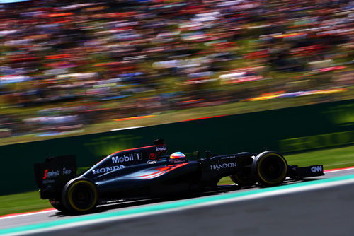 Fernando Alonso exprime su MP4-31