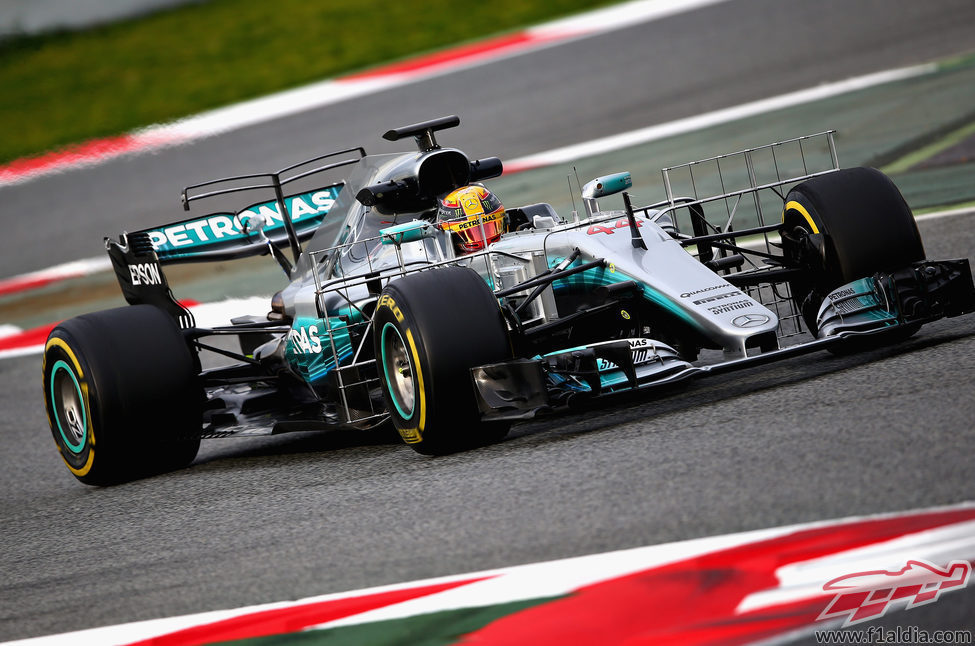 T-Wing doble en el W08