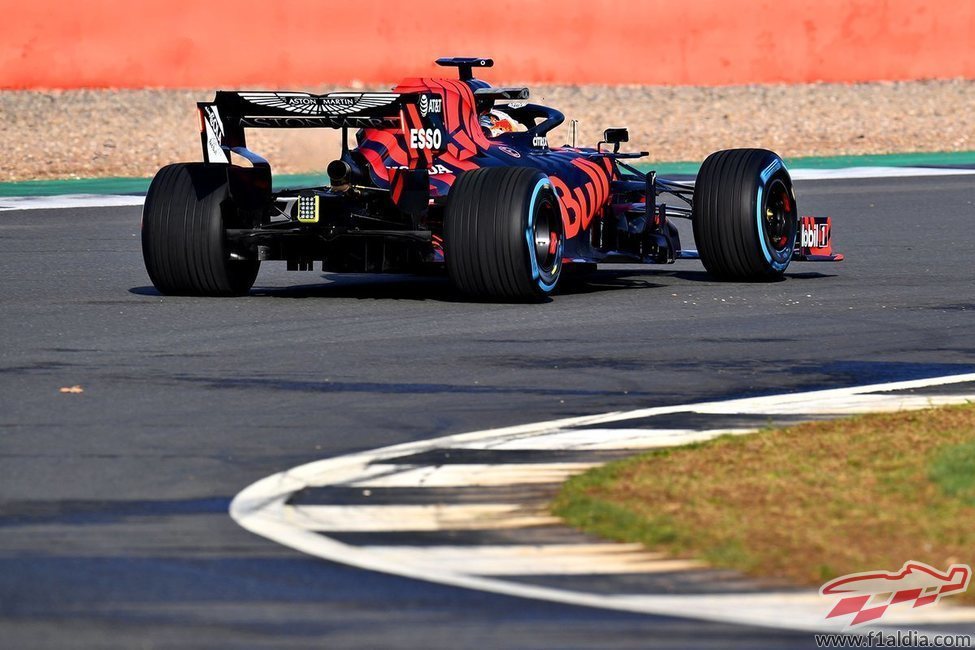 Vista trasera del RB15