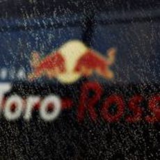 Toro Rosso mojado