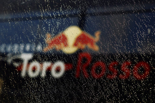 Toro Rosso mojado