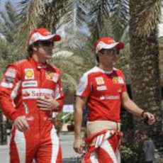 Fernando y Felipe en el circuito de Shakir