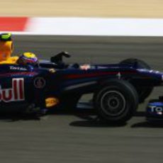 Webber prepara el RB6