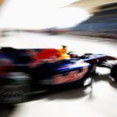 Webber a pista