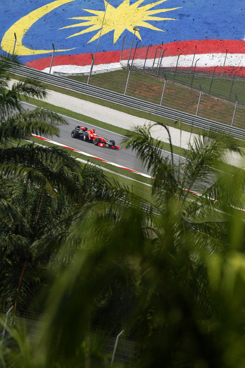 Glock entre palmeras en Sepang