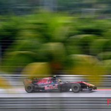 Alguersuari entre las palmeras malayas