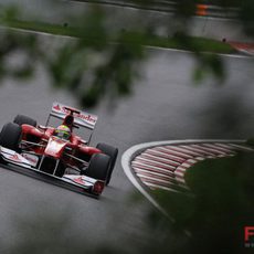 Felipe Massa entre los árboles de Canadá
