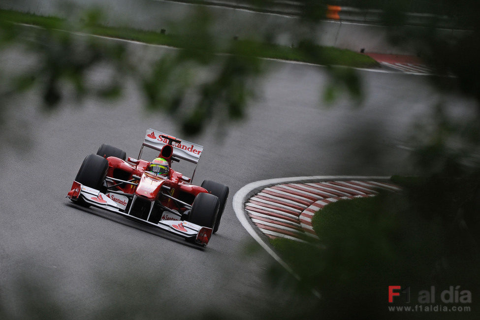 Felipe Massa entre los árboles de Canadá