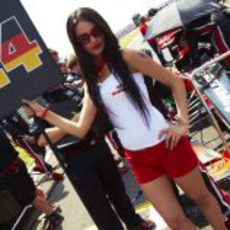 La 'pitbabe' de Timo Glock