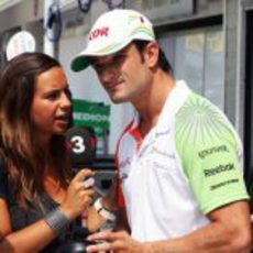 Ferrer y Liuzzi