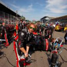 Di Grassi en la parrilla