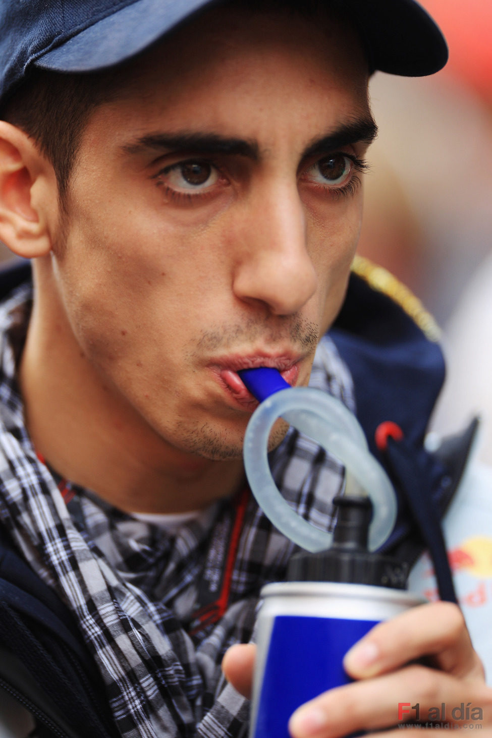 Buemi bebiendo