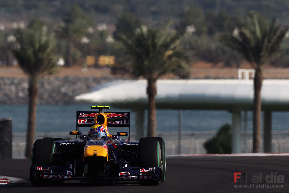 Webber en la pista