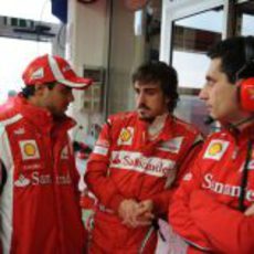 Massa, Alonso y Stella