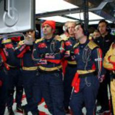 Los ingenieros de Toro Rosso